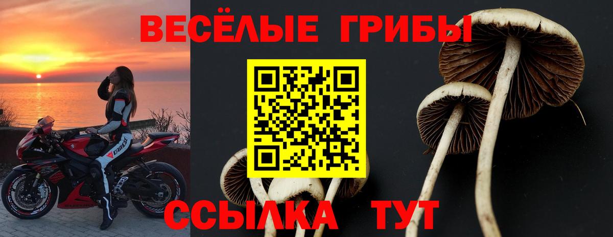 Галлюциногенные грибы MAGIC MUSHROOMS  Псилоцибиновые грибы GOLDEN TEACHER  Вятские Поляны  Вход с VPN 